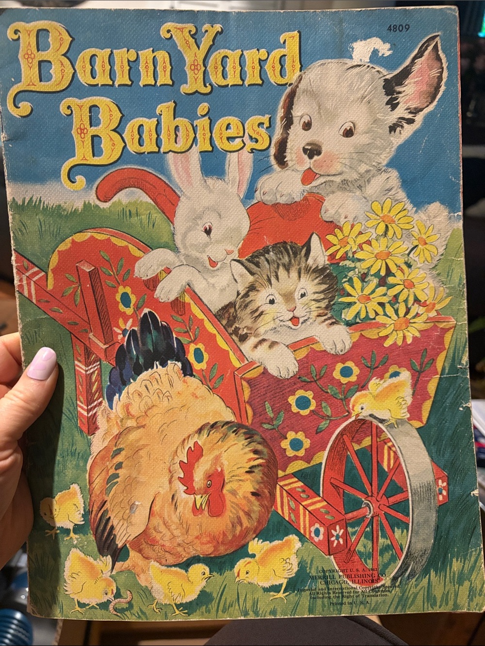 Barnyard Babies Illustrated Pet-Themed soft cover book!